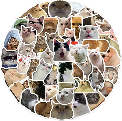 Ensemble d'autocollants en vinyle au design drôle de chat mignon, 50 pièces, autocollants