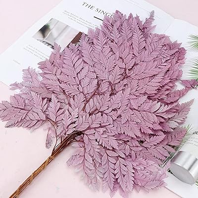 10 pièces de plantes sèches naturelles fraîches conservées, feuilles d'herbe séchées éternelles, fleurs