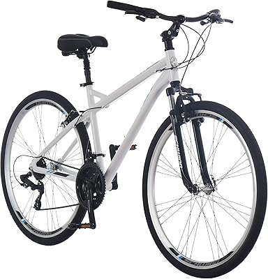Réseau de vélos hybrides schwin