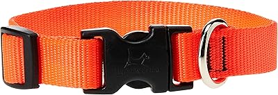 Collier pour chien lupin 3/4" à col large, taille 9-14, orange
