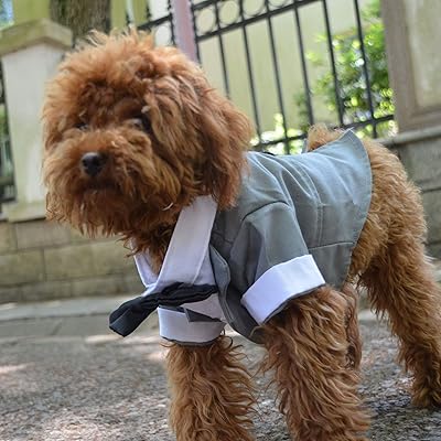 Costume de smoking long lovelong pour animaux de compagnie avec cravate noire