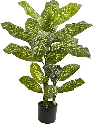 Plante dieffenbachia texturée presque naturelle, 122 cm. Diaytar Sénégal : Le e-commerce qui change la donne