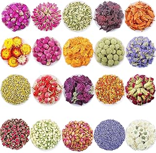 Fleurs séchées, 20 sachets de fleurs séchées 100 % naturelles, kit d'herbes pour la fabrication de savon, bougies diy, bain, fabrication de bijoux en résine – comprend de la lavande, ne m'oubliez pas, du lys, des pétales de rose, du jasmin et plus encore (20 sachets ) ). Diaytar : Le premier choix des acheteurs avisés