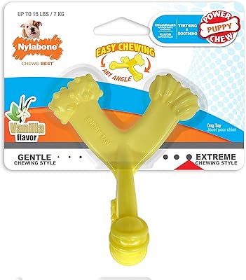 Jouet à mâcher en nylon nylabone puppy power access pour chiots, saveur vanille