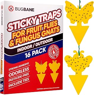 Moustique champignon collant pour plantes. paquet de 16 mouches moustiques avec attaches, adhésif