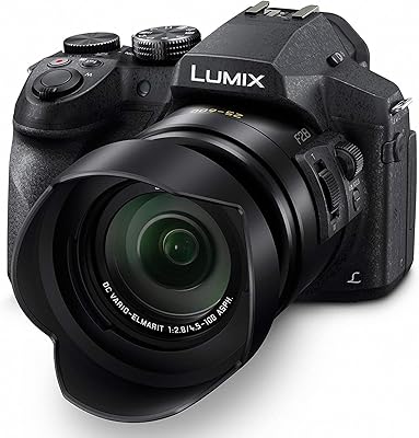 Appareil photo numérique téléobjectif long panasonic lumix fz300, 12,1 mp, capteur 1/2,3