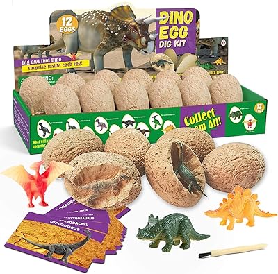 Dlmaonn kit de fouille d'œufs de dinosaures, paquet de 12, découvrez 12 dinosaures