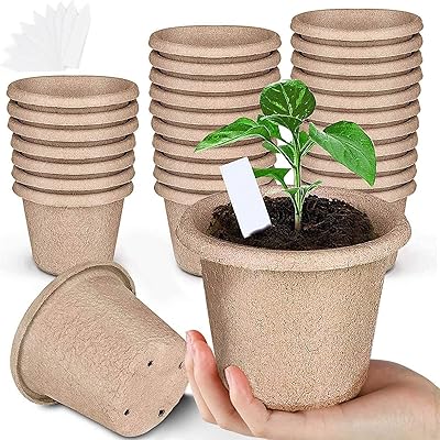 Falx 40 pièces pots de semis de tourbe ensemble graines d'herbes biodégradables