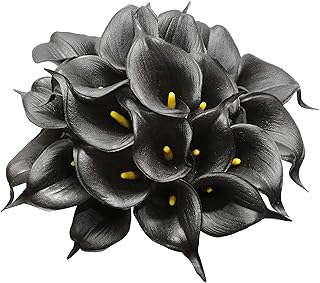 Duhaus – fausses fleurs noires, bouquet de fleurs en latex au toucher réel, pour décoration de fête de mariage à domicile, 20 pièces (noir). Votre shopping simplifié de A à Z avec Diaytar