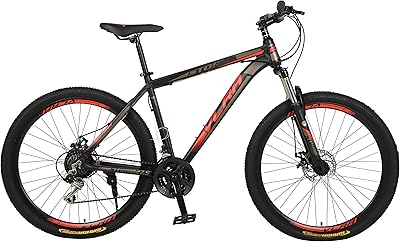 Vélo de montagne flara bike 29 pouces 24 vitesses sports fitness