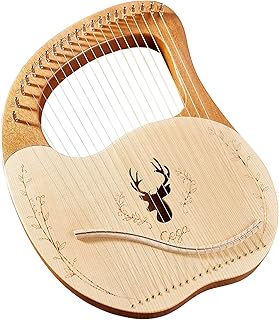 Boîte de guitare à cordes métalliques sega 21, plateau supérieur en acajou