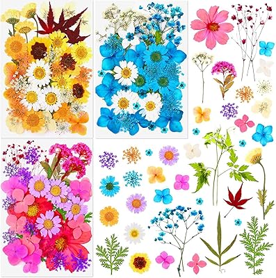 Fleurs séchées pressées pour résine, 100 fleurs séchées naturelles, herbes pour la fabrication