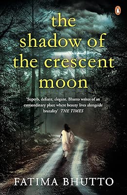 L'ombre du croissant de lune