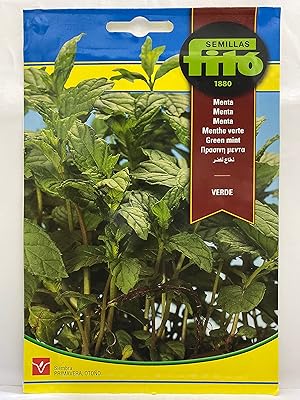 Graines de menthe verte fito® (poids net 200 mg) – graines de menthe