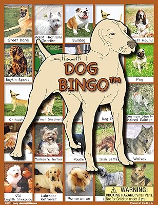 Jeu de société de bingo avec chien lucy hammett