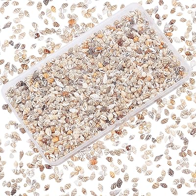 Ph pandahall elite petit coquillage pour femme, breloque en spirale, plage, océan, artisanat