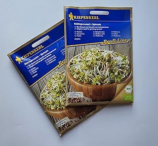 Graines de radis graines biologiques non gemmu à germer paquet de 2
