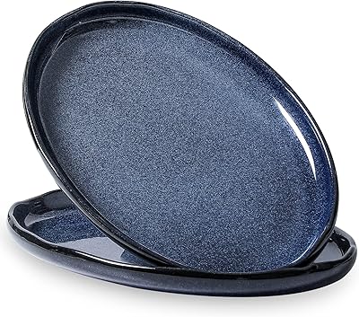 Plateau de service en céramique vicrays assiettes ovales extra larges