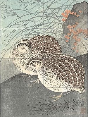 Artery8 ohara koson deux caille pleine lune peinture japonaise xl affiche panneau géant (8 sections). Diaytar Sénégal : Des produits pour toute la famille à prix cassés