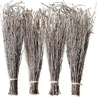 Branches de bouleau ecovinc 200 bsc - branches de bouleau décoratives 100 %