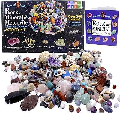Kit d'activités dancing bear rock & mineral collection (ensemble de 200 pièces)
