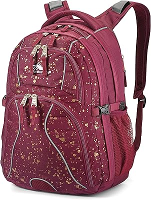 Sac à dos pour ordinateur portable high sierra swerve, idéal pour le lycée