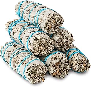 Jl local 6 pack 4" bâtonnets de sauge blanche | kit de nettoyage