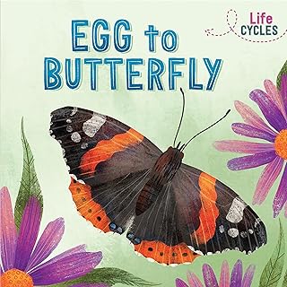 Cycles de vie : de l'œuf au papillon