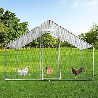 Cage pour chien pour marcher, course à pied, 3 m x 2 m
