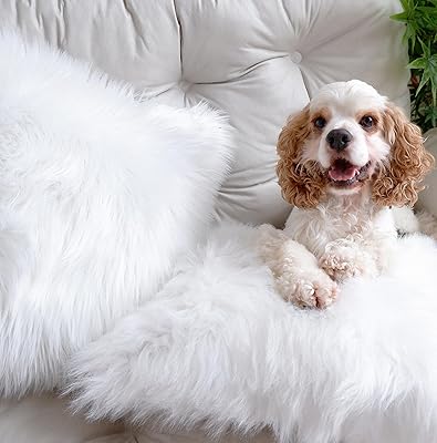 Housse de coussin en fausse fourrure 45 x 45 cm, housse de coussin