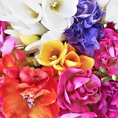 10 pièces de graines de freesia de couleurs mélangées fleurs vivaces précieuses arrangements