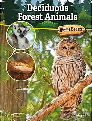 Animaux de la forêt à feuilles caduques