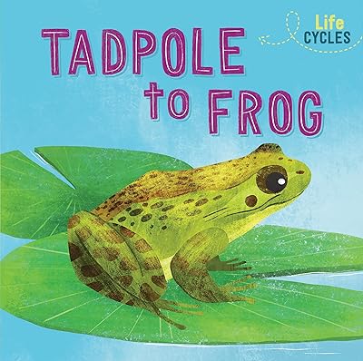 Cycles de vie : du têtard à la grenouille