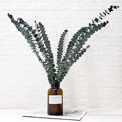 10 branches d'eucalyptus fraîches conservées, tiges d'eucalyptus séchées pour compositions florales, décoration intérieure