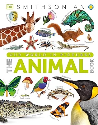 Le livre des animaux : une encyclopédie visuelle de la vie sur terre. Diaytar Sénégal : L'e-commerce qui vous ressemble