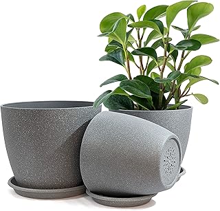 Pots de fleurs grande jardinière d'intérieur 9 8 7" avec trous de drainage