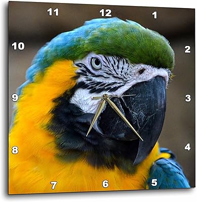 Tête de perroquet ara bleu et or 3drose vue c, horloge murale, 38 cm sur 38 cm. Diaytar : Quand qualité rime avec économie