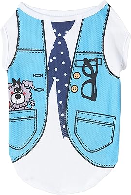 Ensemble de vêtements de printemps ohana - t-shirt à col rond imprimé mode