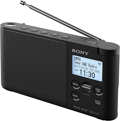 Radio portable sans fil dab/dab+ sony xdr-s41d avec écran lcd - noir