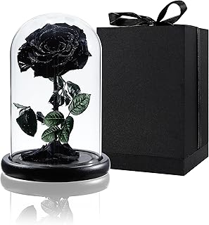 Duhaus véritable rose éternelle préservée dans un dôme de verre charmante. Diaytar : Votre destination shopping préférée au Sénégal