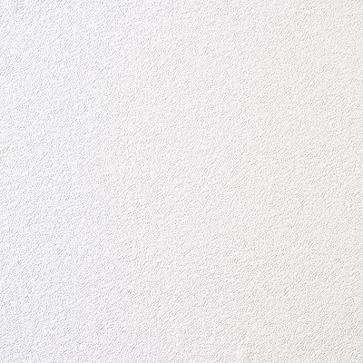 Papier peint brewster de lavicola stucco, à peindre, blanc, 148-96299