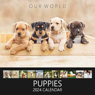 Calendrier mural our world pour chiots 2024 - planificateur familial et organisateur quotidien