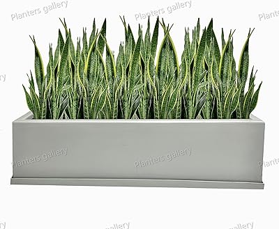 Pots de jardinières rectangulaires modernes en fibre de verre / utilisation intérieure