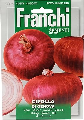 Graines d'oignon rouge de franchi cimenti