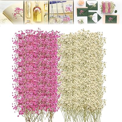 96 mini fleurs séchées de souffle de bébé pour l'artisanat en résine