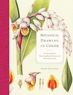 Dessin botanique en couleur