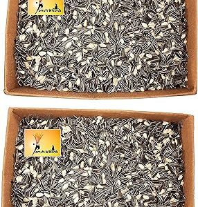 Mélange de graines de tournesol et de graines de carthame parrots wizard baby, 1800 g. Commandez malin, vivez mieux avec Diaytar