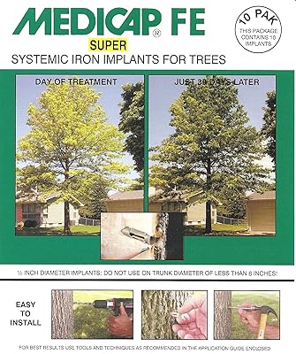 10pcs implant d'arbre de fer avec système fe super pour le contrôle