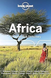 Guide de conversation et dictionnaire lonely planet afrique
